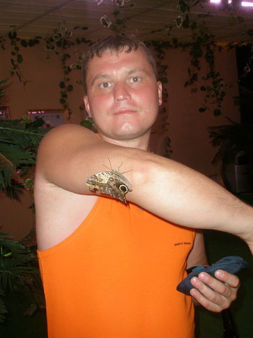 Максим Казанцев