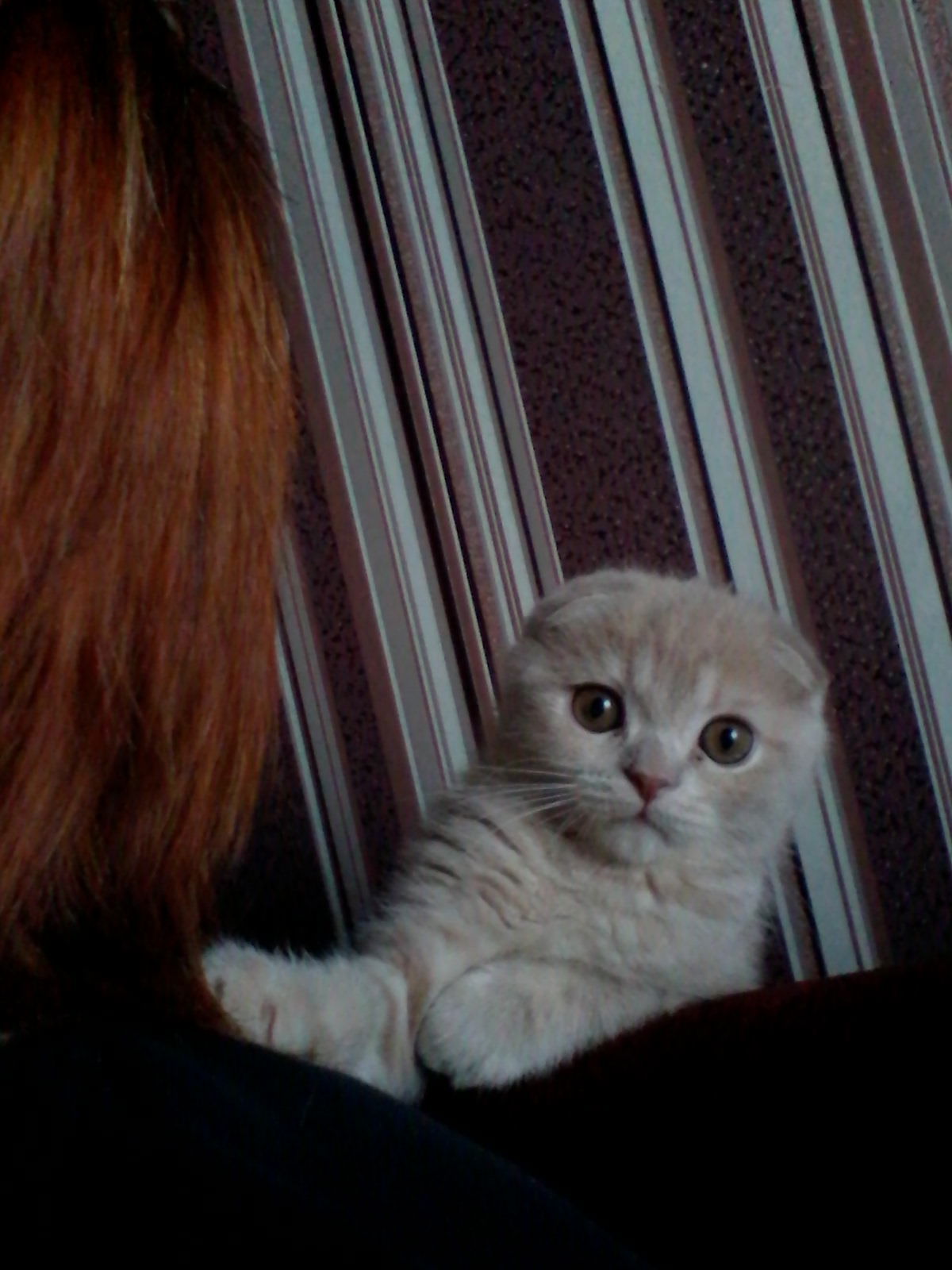 Наталия Мазан