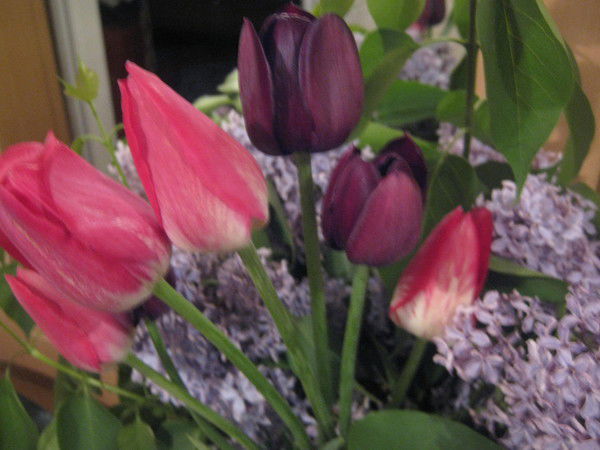 Людмила Ковальчук