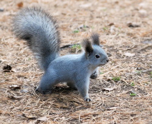 Неизвестно Неизвестно