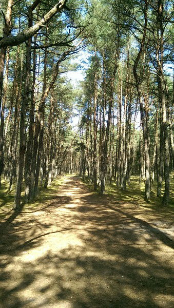 Мария Барановская