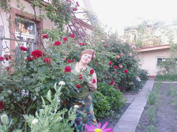 Алла Бронская