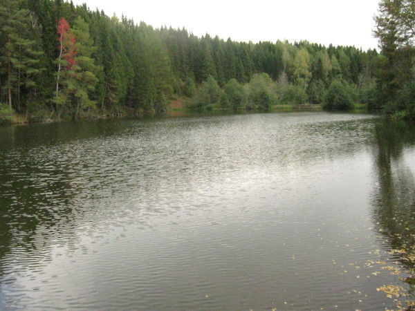 Лена Ожигина