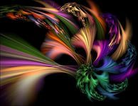 Никита Жеребцов