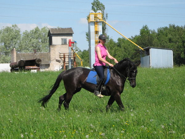 Ирина Павлович