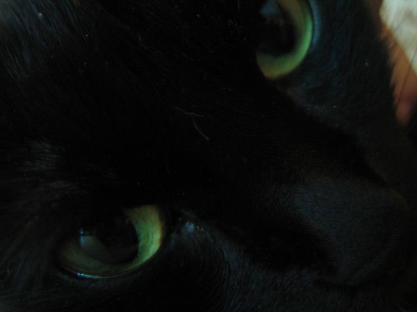 Ольга Федоровна