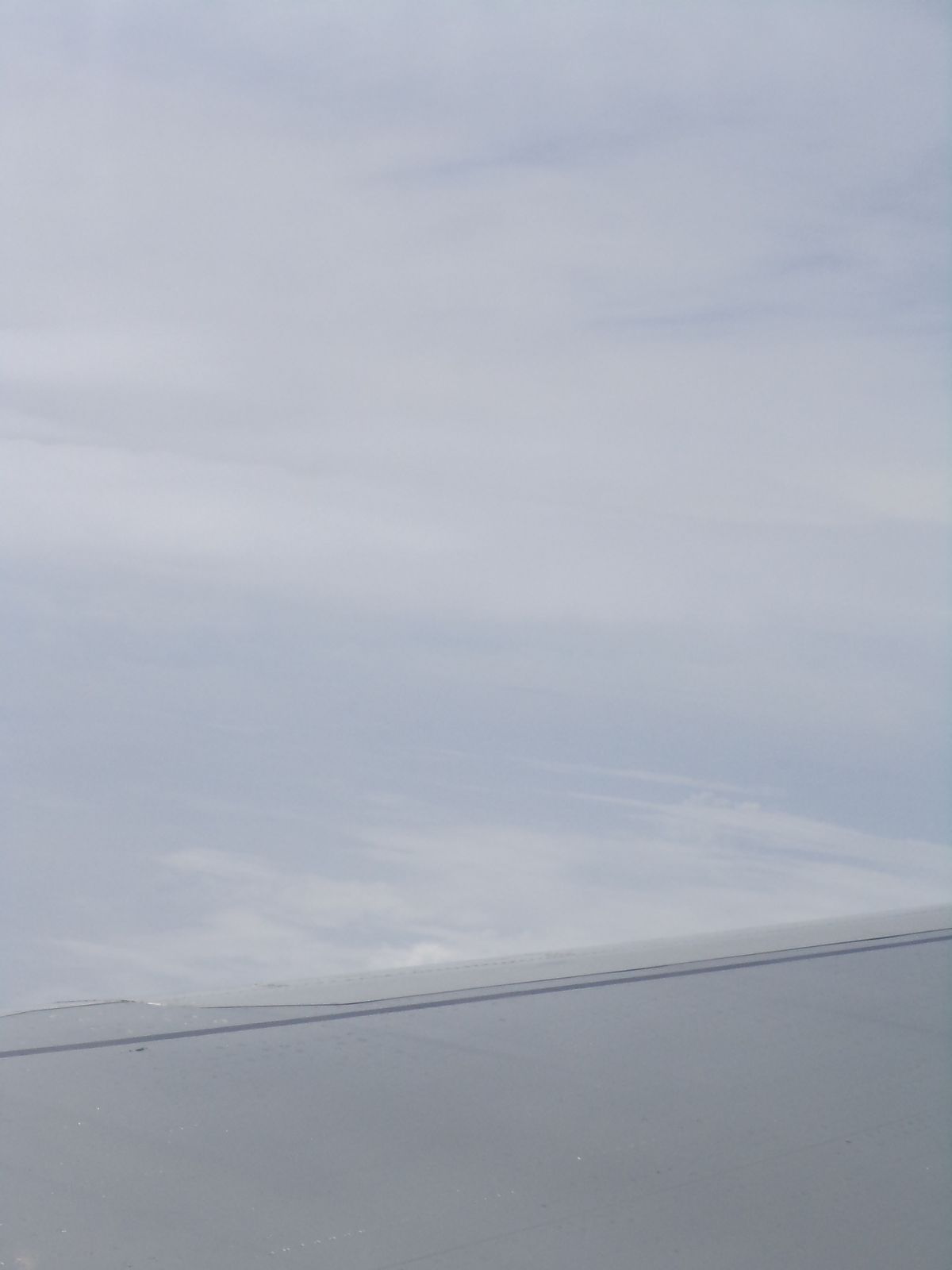 Любовь Стадникова