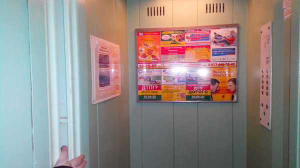 Анастасия Николаева