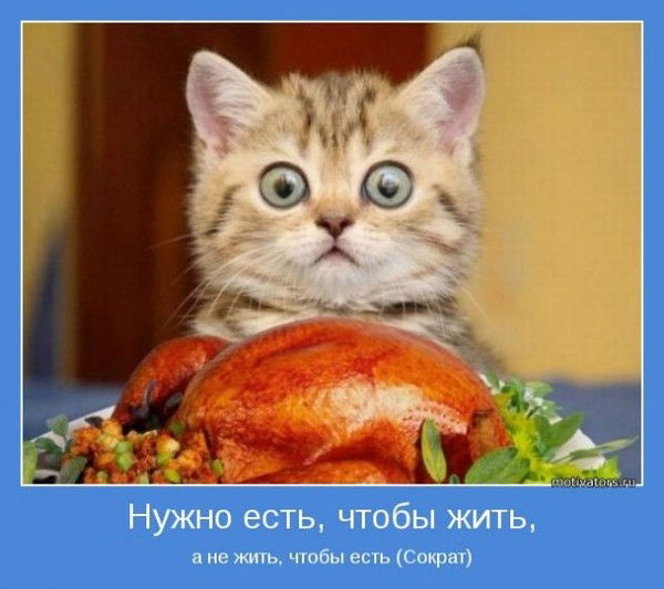 Вера Казеева