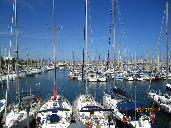 Алена Санникова