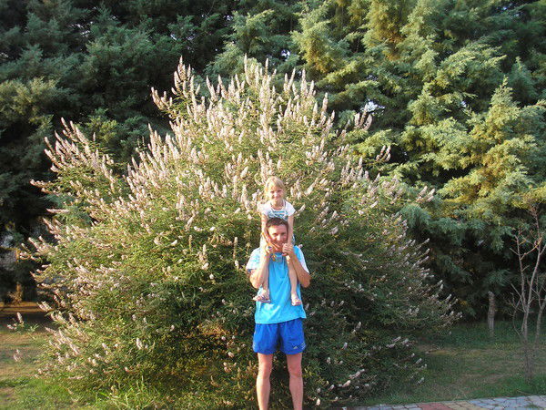 Евгений Болгов