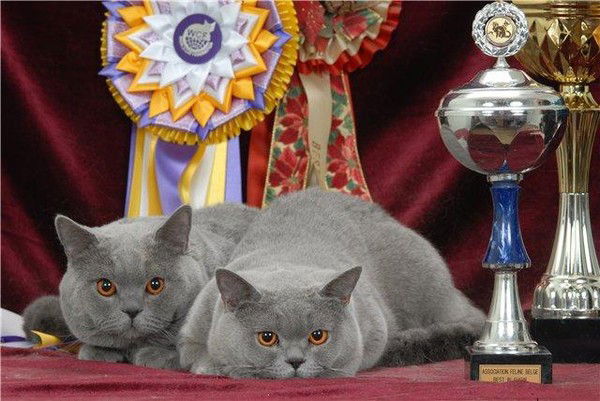 Натали Белякова