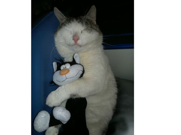 Дмитрий Самохин