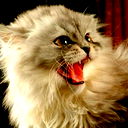 Анна Анна
