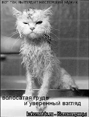 Владимир Герасин