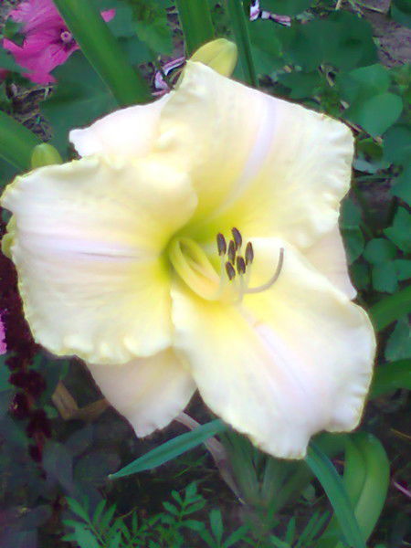 Наталья Польдяева