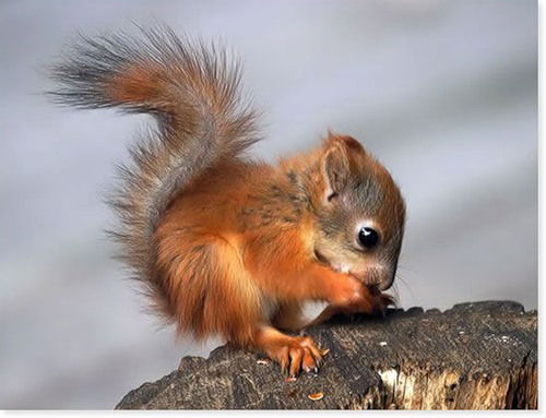 Олег Кочугин