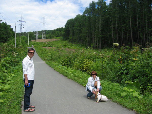 Тон Светлый