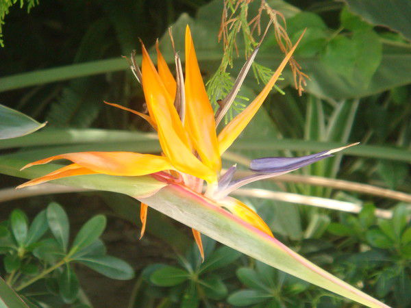 Елена Серегина