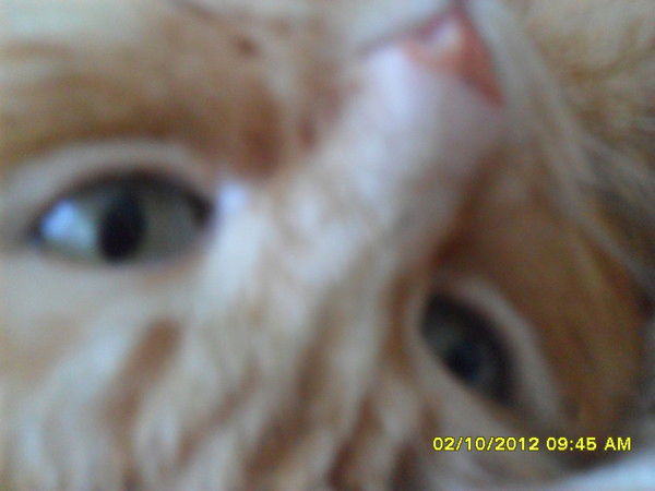 .надежда Юрага