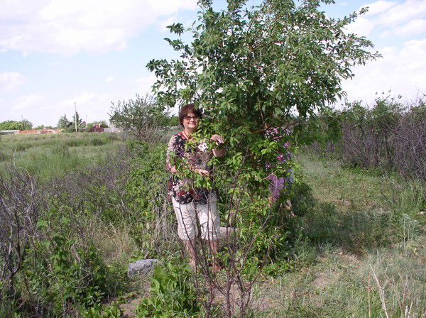 Ольга Голубева