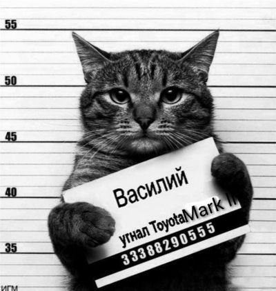 Артём Новик