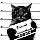 Артём Новик