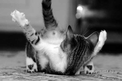 Галина Петруненко