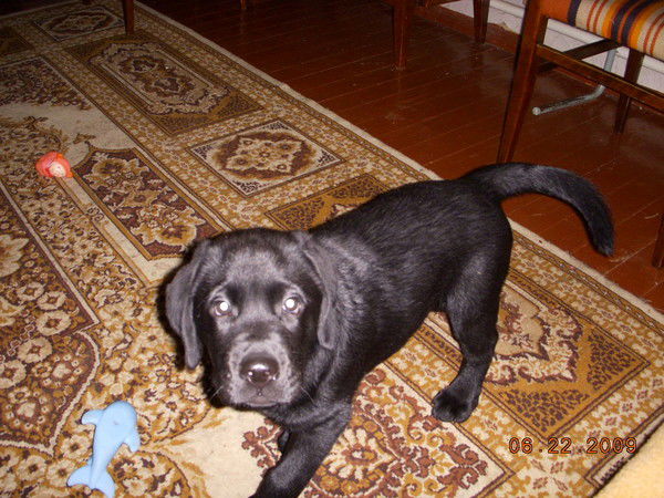 Nataliya Anatoliy Sobolyevs