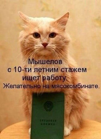 Марина Геннадьевна