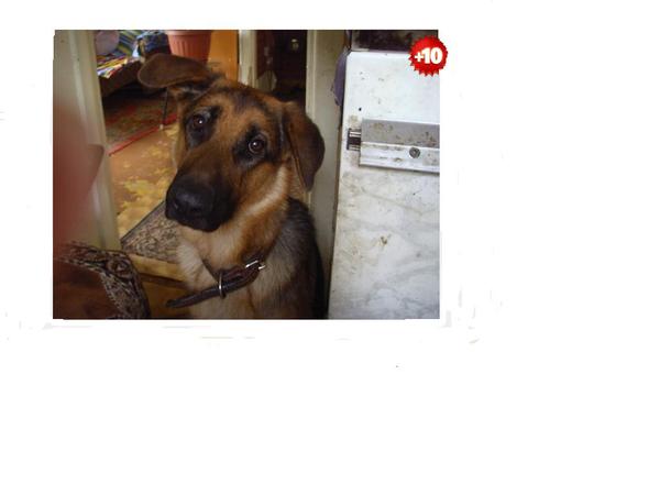 Светлана Селиверстова