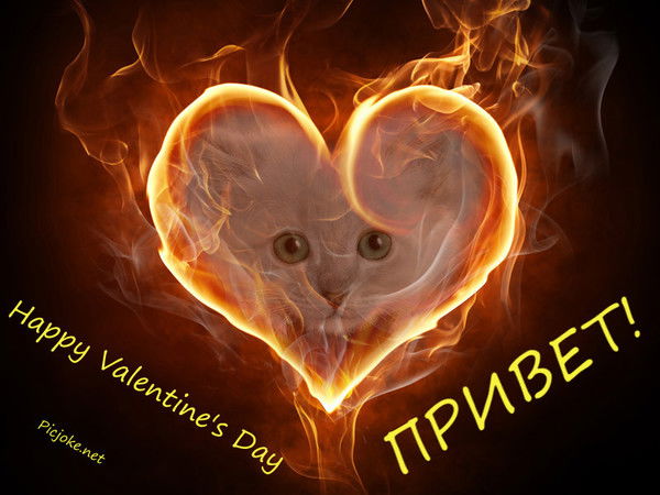 Алиса Азибекова