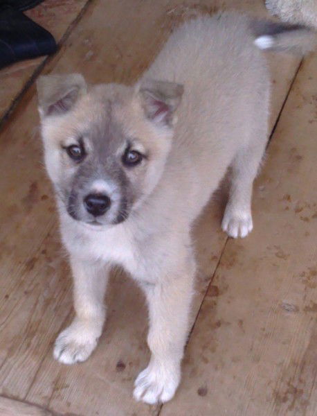 Сергей Камардин