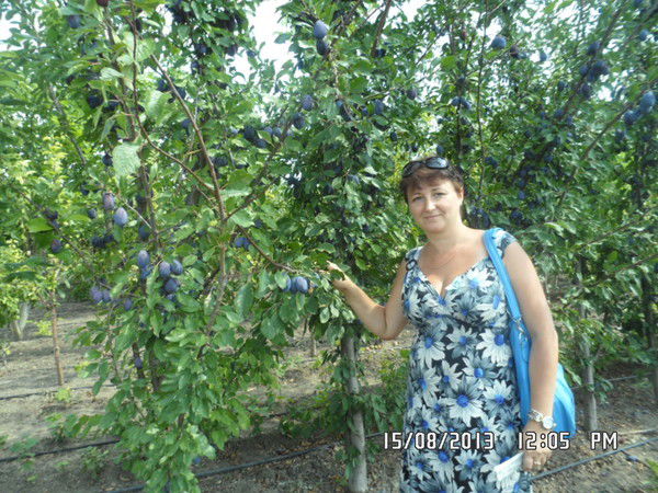 Елена Усенкова