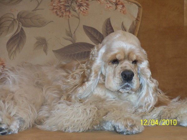 Светлана Литвинова