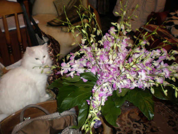 Ольга Полькина