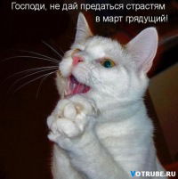 Владимир Гроза