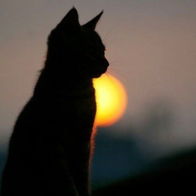 Виталий Аверкиев