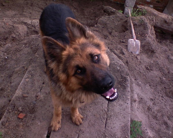 Павел Слюсар