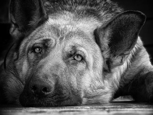 Виталий Илюкевич