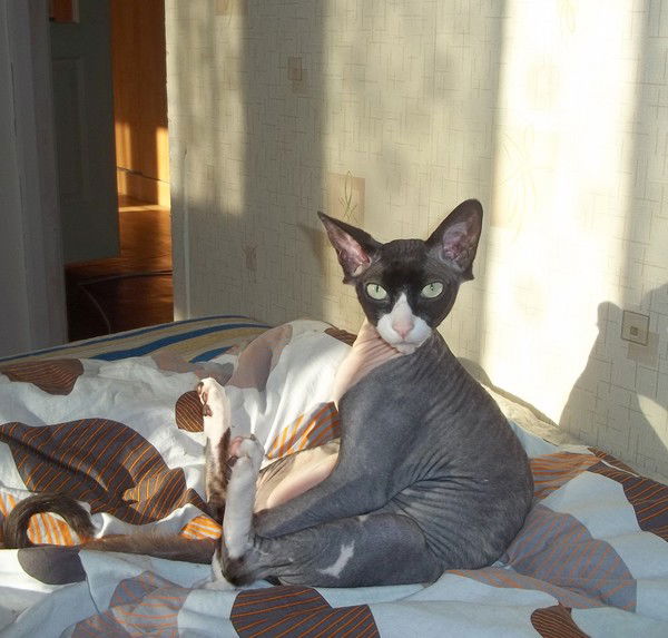 Евгения Васенина