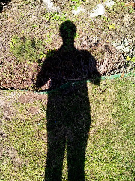 Николай Мишин