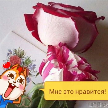 Натали Симонова