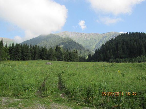 Ольга Шустова