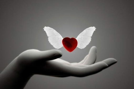 Люблю Ангел