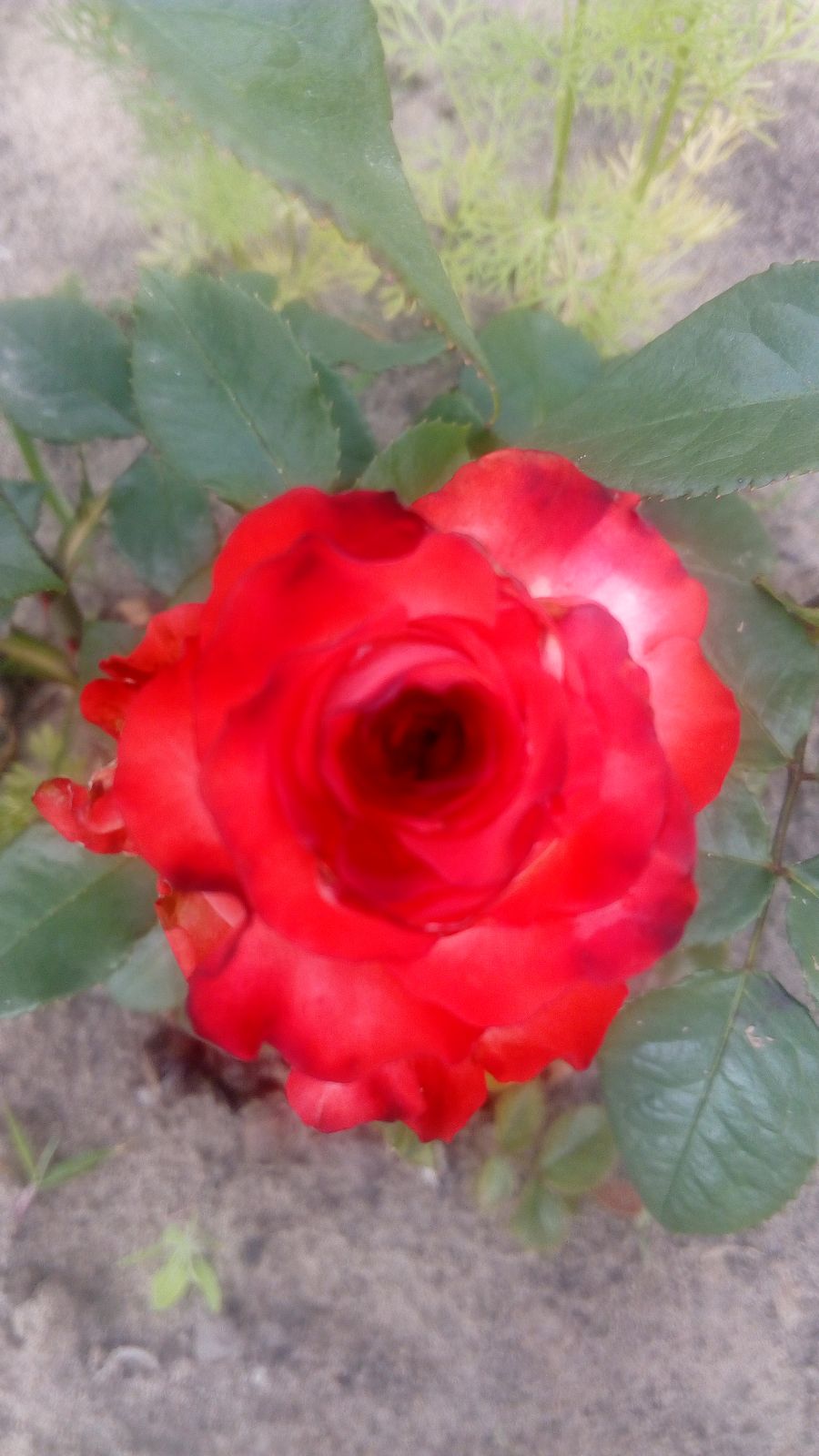 Машка Хххххх