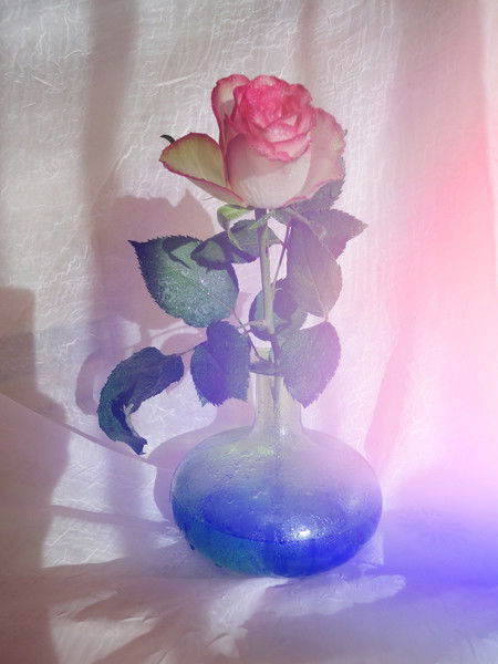 Роза Мусабаева