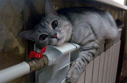 Александр Черванев