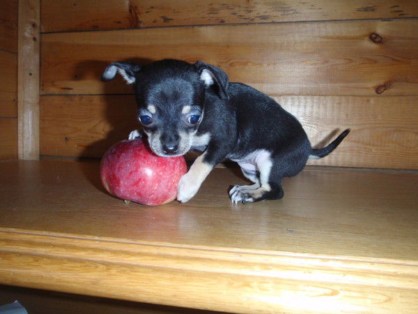 Екатерина Михалева