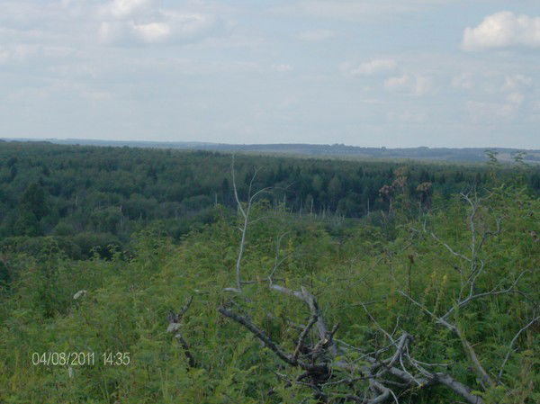 Александр Бердников
